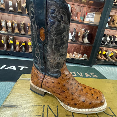 Men's Brown Cognac Ostrich Print Square Toe Boot 6064