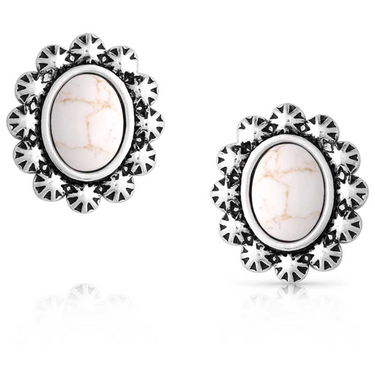 Heaven's Halo Earrings ER6018