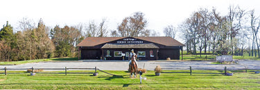 Cowtown western wear cheap