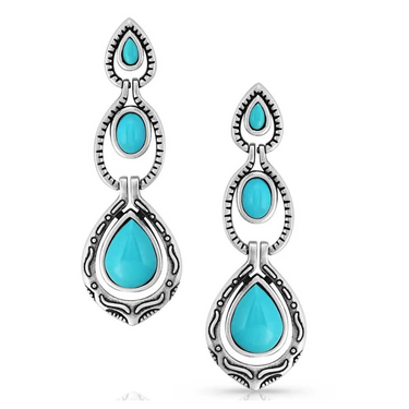 Unmatched Beauty Turquoise Earrings ER5638