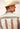 Men's Desert Stripe L/S Snap Shirt By Roper - 03-001-0068-0459 BR