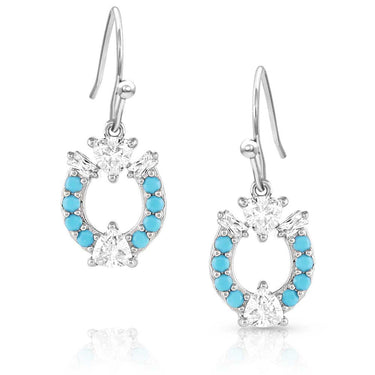Luck Defined Crystal Turquoise Earrings-ER5511