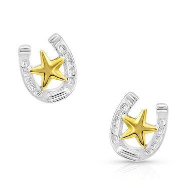 Small Stars & Horseshoe Post Earrings-ER803