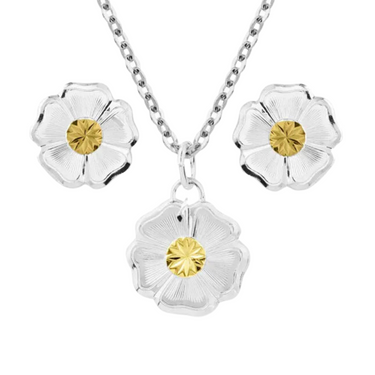 Classic Flowers Jewelry Set By Montana Silversmiths JS5674 