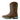 Women's Anthem Waterproof Western Boot in Dark Roast by Ariat 10046862 