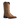 Women's Cattle Drive Cowboy Boot by Ariat 10033872