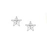 North Star Crystal Post Earrings-ER5627