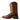 Men's Barley Ultra Western Boot in Dark Tabac Full Quill Ostrich by Ariat 10046961