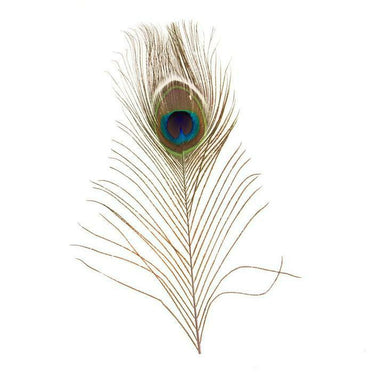 Peacock Eye Hat Feather by Fashion West F-PE