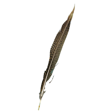 Golden Brown Hat Accent Feather by Fashion West F-55