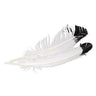 Large White with Black Tip Hat Feather by Fashion West F-12
