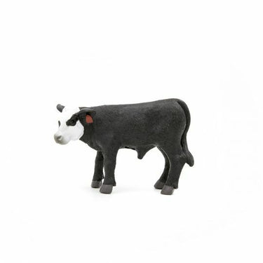 Calf Black With White Face 500267