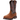Men's Workhog XT Sq H20 Carbon Toe Boot by Ariat 10024968